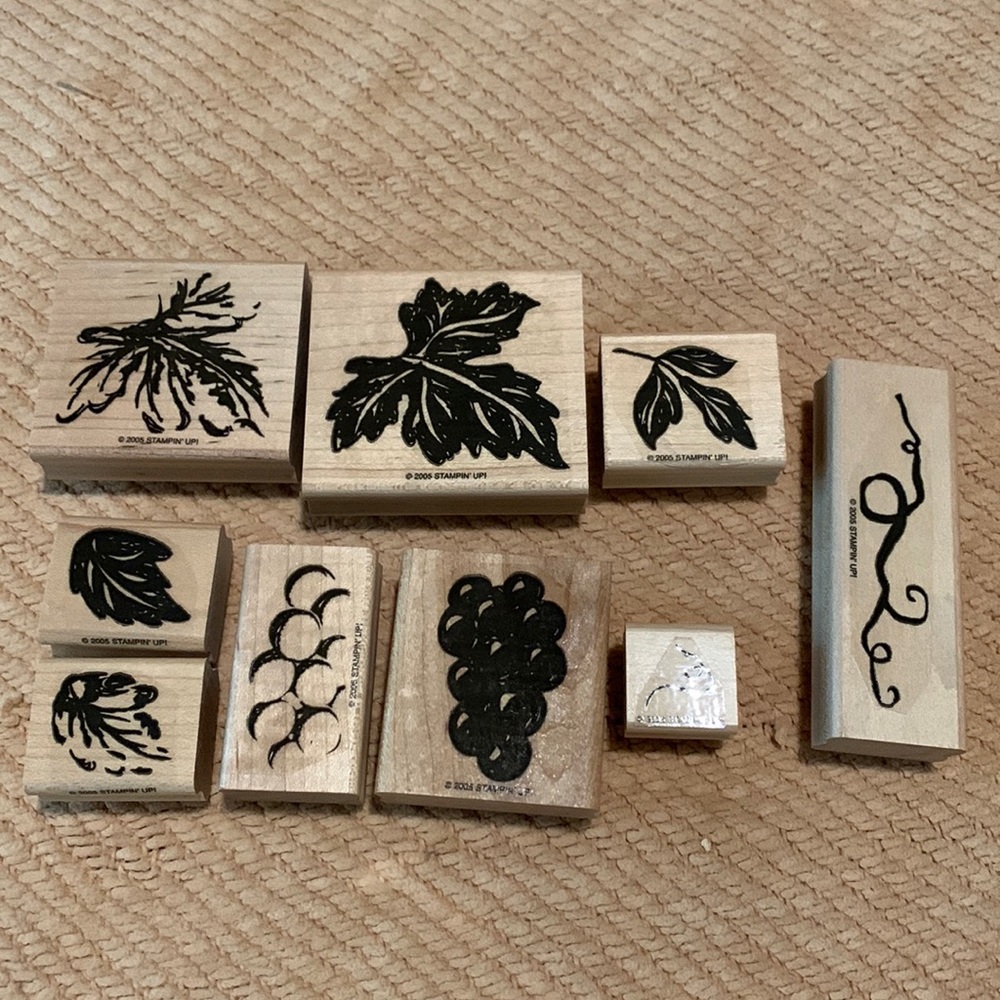 Stampin Up! Gorgeous Grapevine set of 9 (2005)